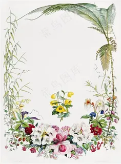 手绘花卉图片 手绘花卉图片