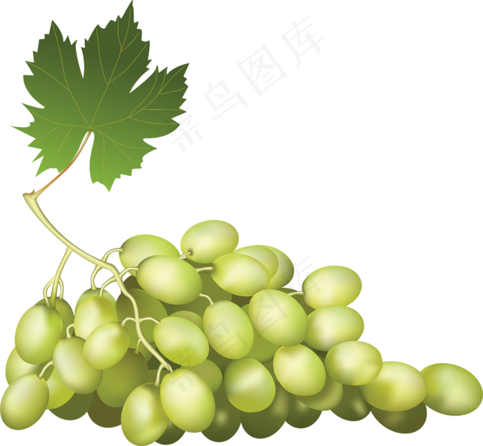 葡萄免抠素材 (47)