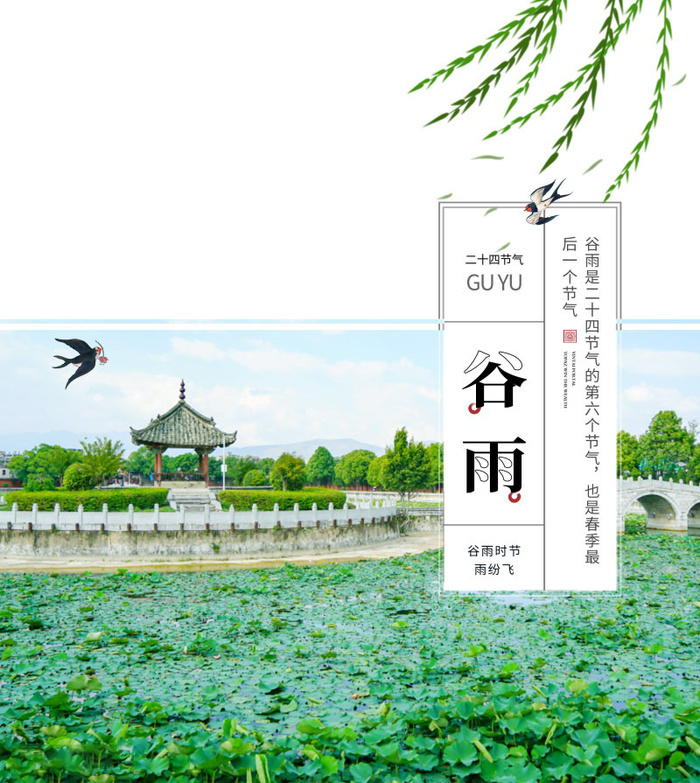 谷雨海报二十四节气谷雨广告