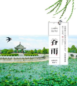 谷雨海报二十四节气谷雨广告