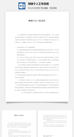 财政个人工作总结word模板