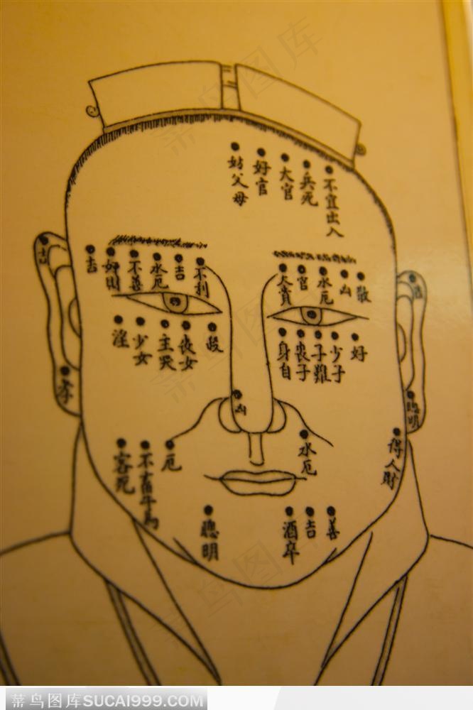 传统文化面相面谱