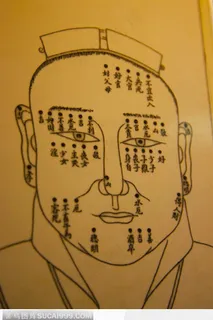 传统文化面相面谱