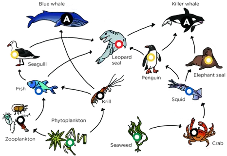 生态系统卡通地球一小时素材