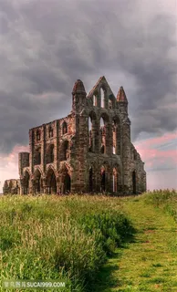 野外古建筑遗址图片