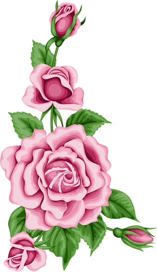 月季花朵卡通简笔谷雨素材