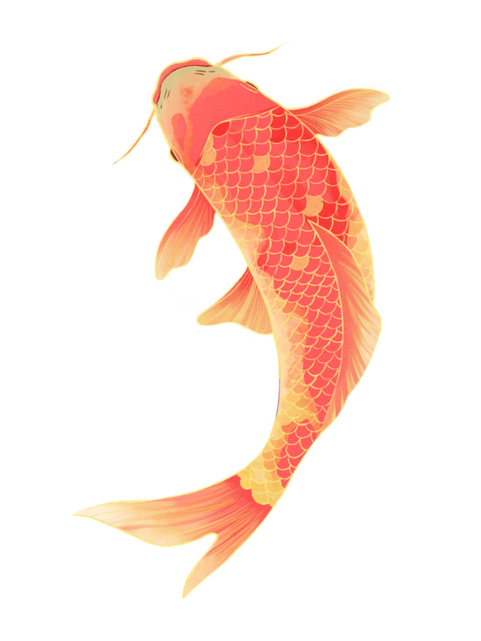 手绘烫金国潮中国风卡通锦鲤鱼金鱼插画装饰元素PSD设计素材