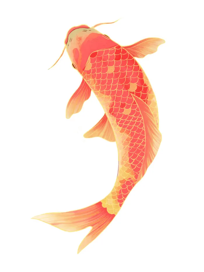 手绘烫金国潮中国风卡通锦鲤鱼金鱼插画装饰元素PSD设计素材psd模版下载