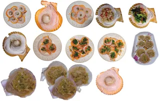 粉丝扇贝免抠元素合集