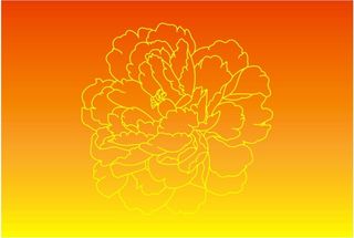 红黄渐变牡丹花背景图