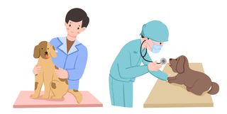 小狗看病宠物医生