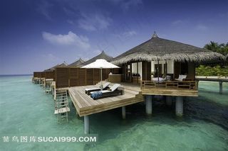 摄影国外草木海景酒店