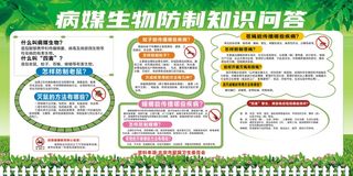 绿色病媒生物知识展板