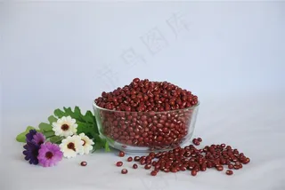 有机红豆图片素材