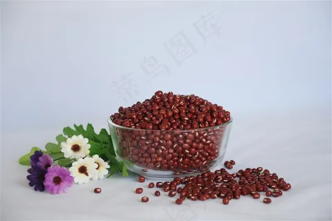 有机红豆图片素材 有机红豆图片素材