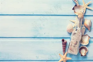 木板上的贝壳素材