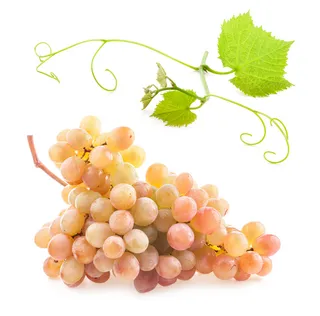 葡萄素材图片