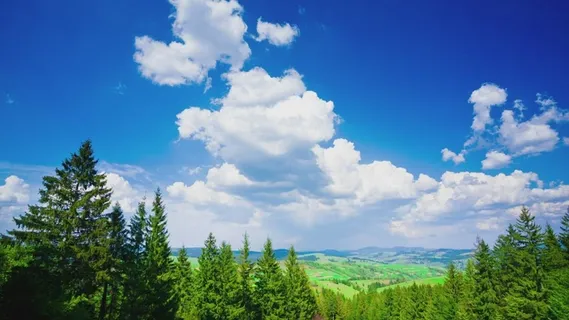 在山的美好的夏天风景