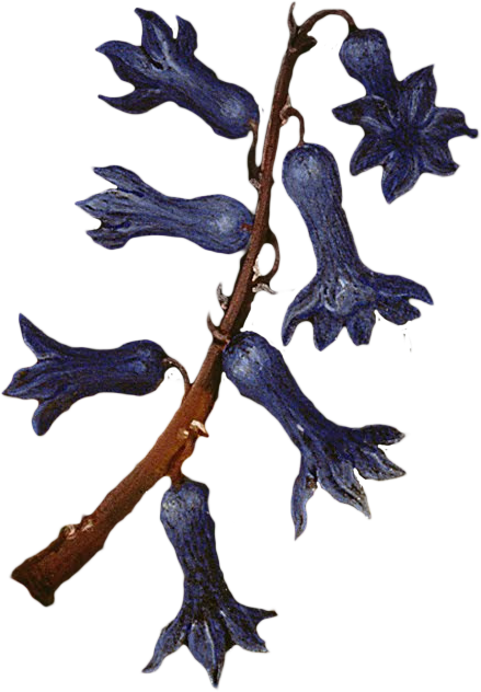 复古油画质感宫廷花卉植物花朵鲜花拼贴图案PNG免抠图片设计素材