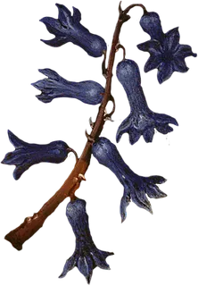 复古油画质感宫廷花卉植物花朵鲜花拼贴图案PNG免抠图片设计素材