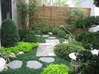 花园 按摩床 太阳伞 绿色草地 椰子树