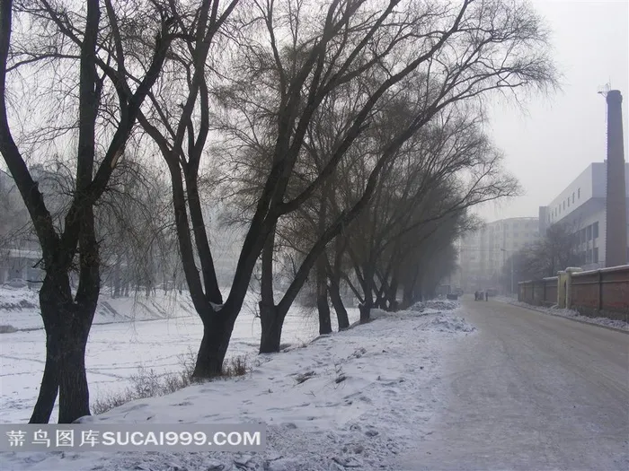 东北冬日街道雪景图片