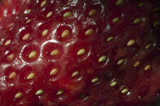 草莓纹理背景图片