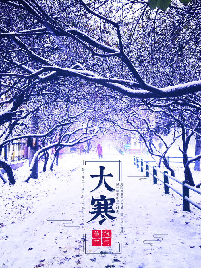 24二十四节气传统节日大寒宣传活动海报插画合集psd设计素材模板