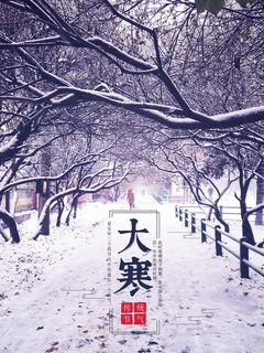 24二十四节气传统节日大寒宣传活动海报插画合集psd设计素材模板