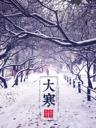 24二十四节气传统节日大寒宣传活动海报插画合集psd设计素材模板