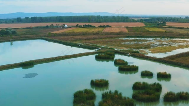 湖, 自然水, 鸟瞰图, 风景秀丽的, 蓝色的, 天空