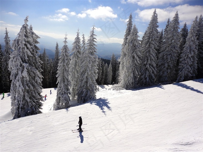冰天雪地里滑雪运动高清图片