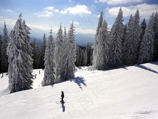 冰天雪地里滑雪运动高清图片