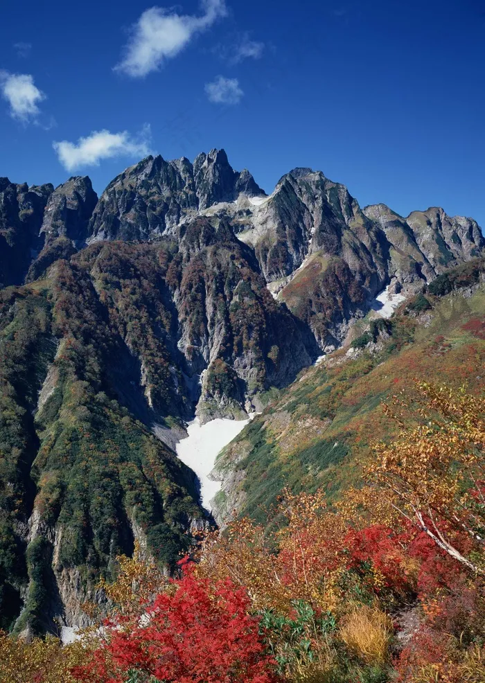 绿树山水 119