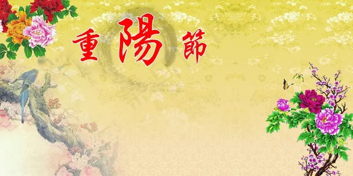 重阳节背景图片 重阳节背景图片