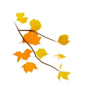 树叶树枝免抠 树叶树枝免抠