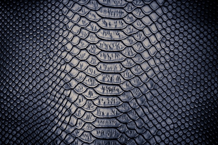 精美蛇皮纹理背景高清素材大图