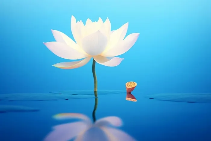 蓝色简约大气荷花意境背景(1344x896)