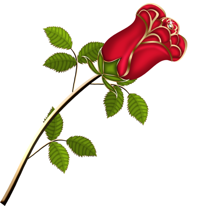 鲜花玫瑰免扣素材