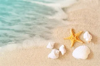 夏季大海沙滩景色图