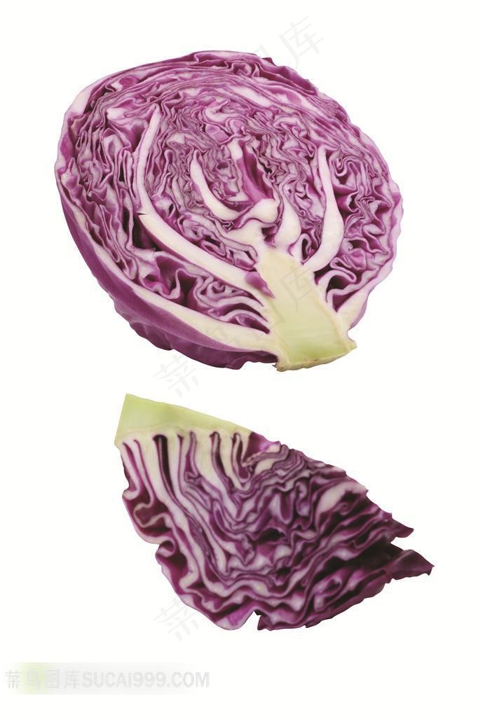 包头菜高清素材