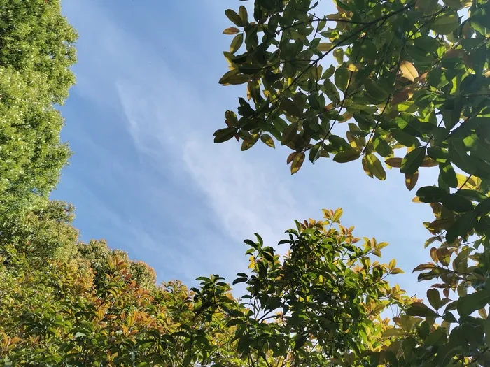 心形天空蓝天