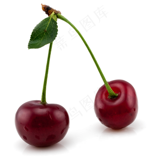樱桃免抠素材 (17)