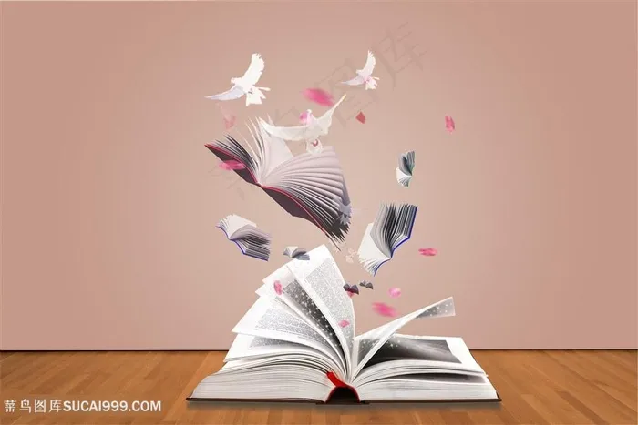 书中散发出的知识