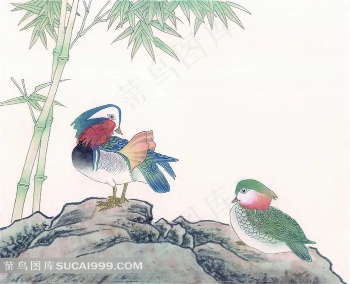 花鸟鸳鸯绘画图片