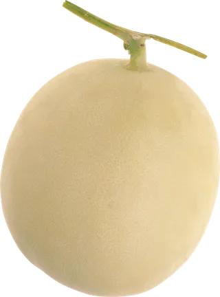 哈密瓜免抠素材 (23)