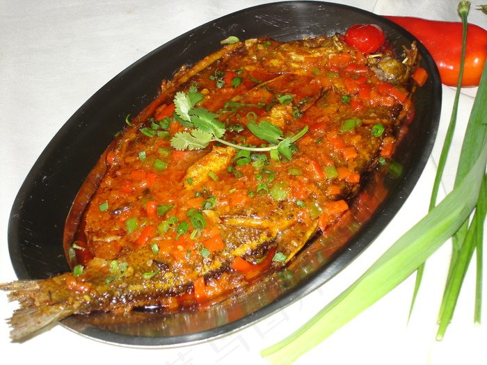 0219洞庭湖翘白鱼