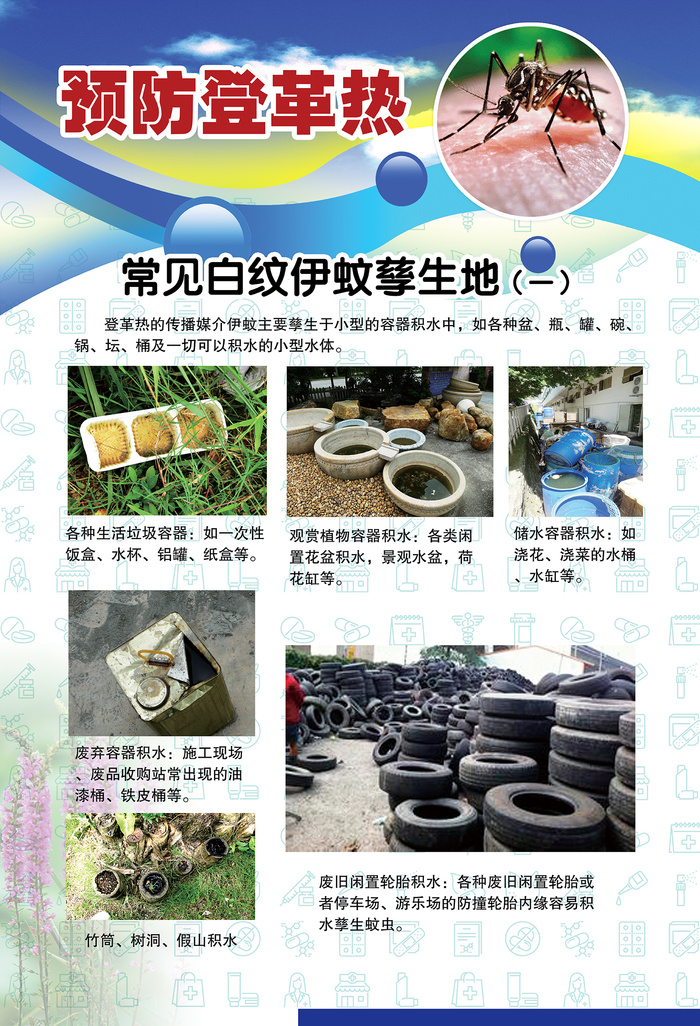 预防登革热宣传系列挂图海报psd模版下载