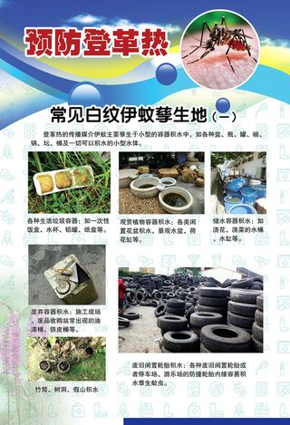 预防登革热宣传系列挂图海报