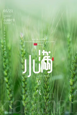 小满 二十四节气